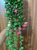 ریسه گلدار شمشادی ۱۶ شاخه